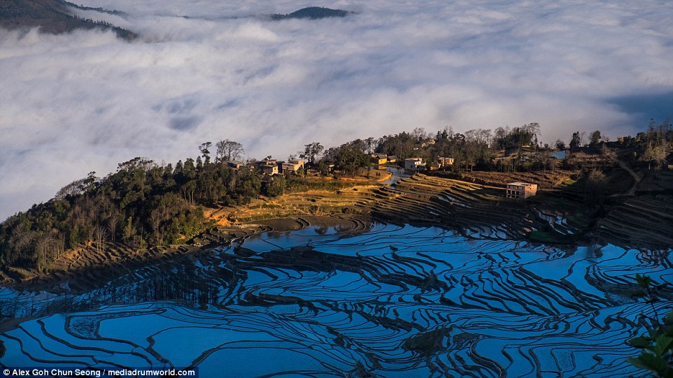 2D4C2DDA00000578-0-As_well_as_the_photogenic_rice_paddy_fields_the_town_of_Old_Yuan-a-3_1444571494877