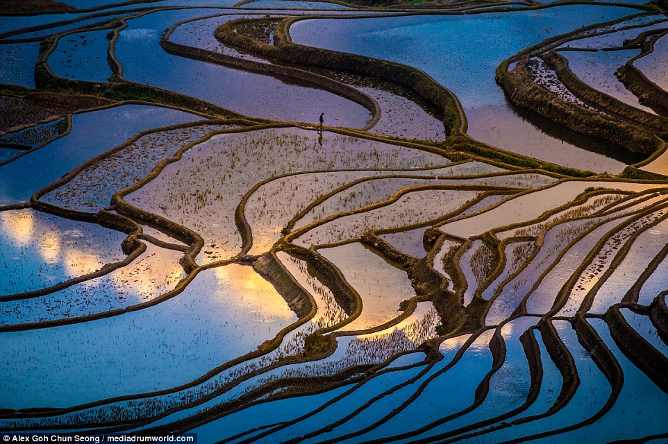 2D4C2DE600000578-0-Surreal_On_closer_inspection_Seong_s_photographs_have_also_revea-a-2_1444571488259
