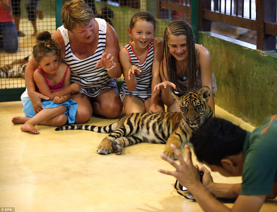 2D94B74B00000578-3280742-A_family_pose_like_animals_behind_one_of_the_zoo_s_smallest_Indo-a-16_1445336160168