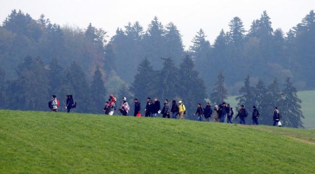 Migrants cross a field as they walk from the Austrian village Kollerschlag towards Austrian-German border in Wegscheid