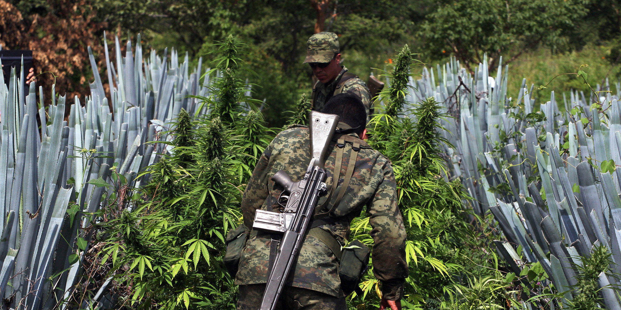 MEXICO-DRUG-OPERATION