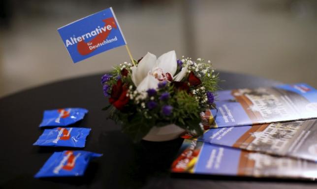 A little flag and brochures of the right-wing AFD  are pictured during a rally for the upcoming Saxony-Anhalt state elections in Bitterfeld