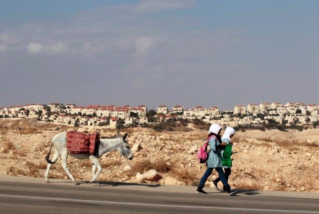 Palestinian schoolgirls walk with a donkey as the West Bank Jewish settlement of Maale Adumim is seen in the background