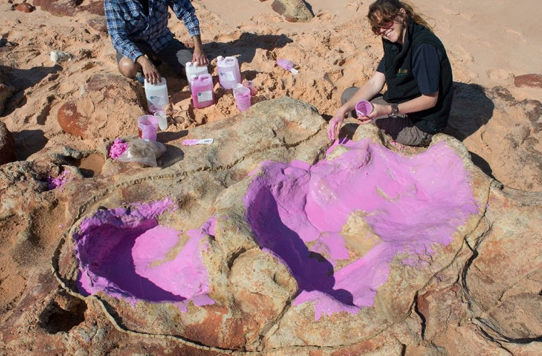 Следы динозавров обнаружили в Австралии