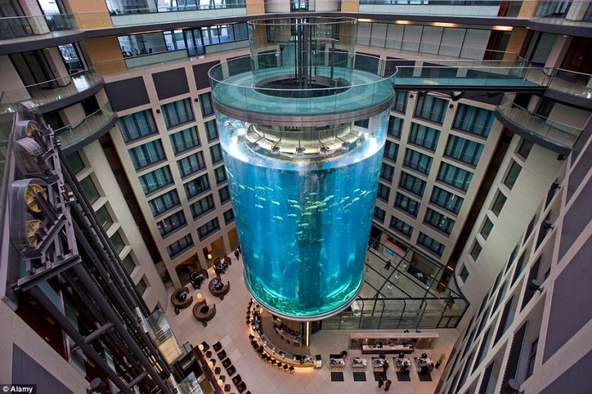 Отель Радиссон Блю в Берлине установил аквариум вокруг главного лифта