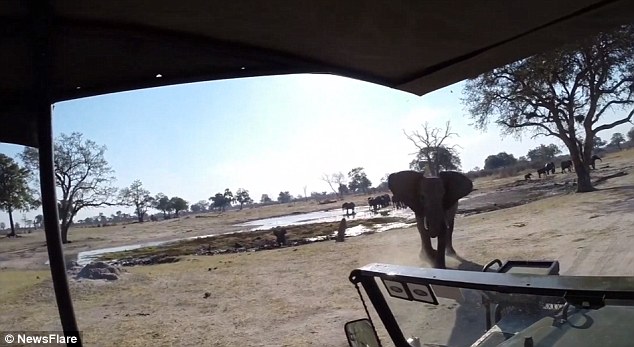 Африканский слон в заповеднике Хванге перевернул туристическую машину