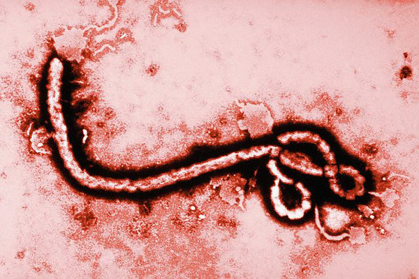 Подтвержден случай смерти от Эболы на севере Сьерра-Леоне