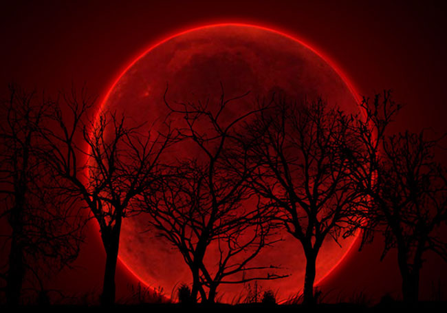 Астрономы объявили о скором появлении «Кровавой луны»