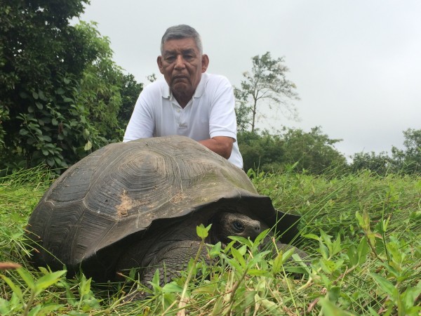 На Галапагосе найден редкий вид гигантских черепах