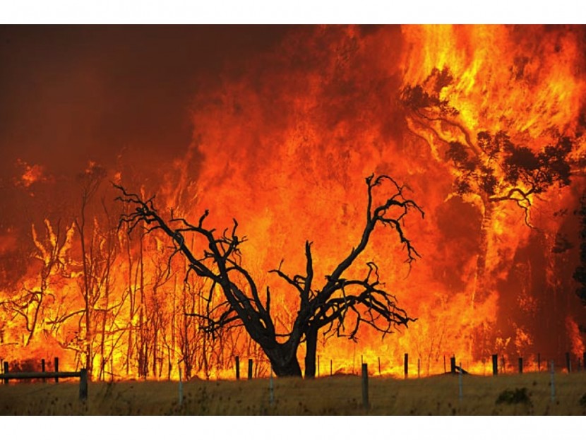 Сильнейший пожар возник в Тасмании