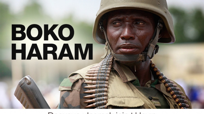 Боко Харам атаковал ключевой город в северной части Нигерии