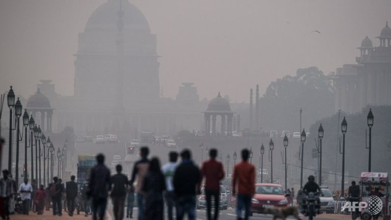 Нью-Дели активно борется с загрязнениями