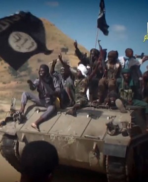 Нигер выигрывает войну против джихадистов