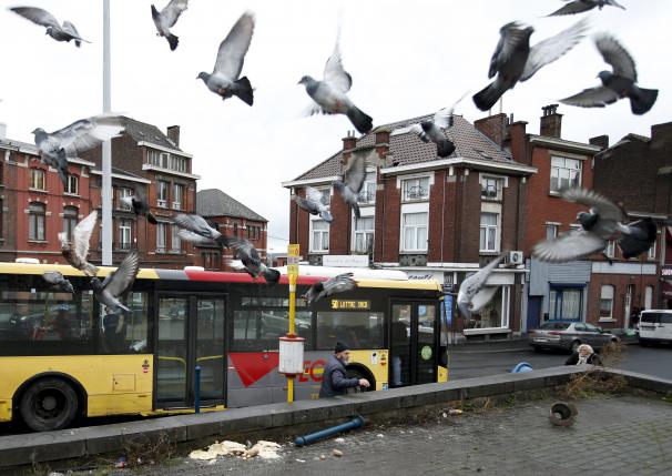 В Бельгии найдена жилплощадь террористов, причастных к парижским терактам