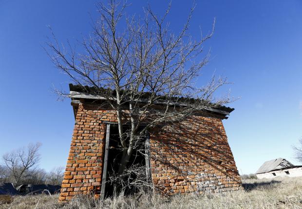 Tree grows out of the door of an abandoned barn in the 30 km (19 miles) exclusion zone around the Chernobyl nuclear reactor, in the abandoned village of Krasnoselie