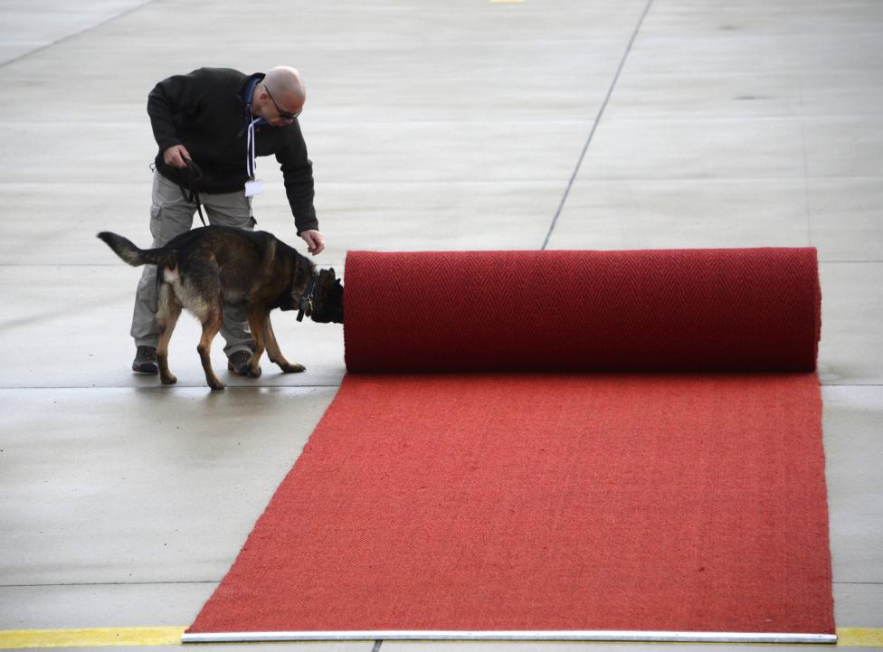 A security officer with a sniffer dog checks the red carpet ahead of U.S. President Obama visit to Hanover