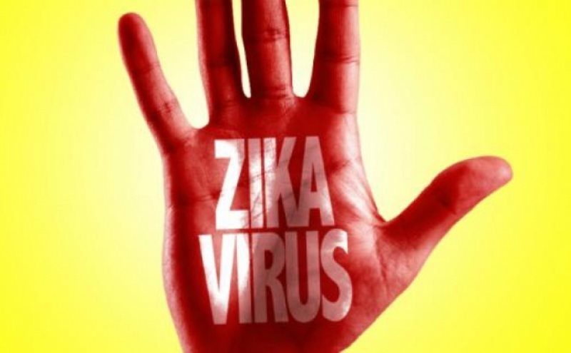ВОЗ исследует риски распространения вируса Зика