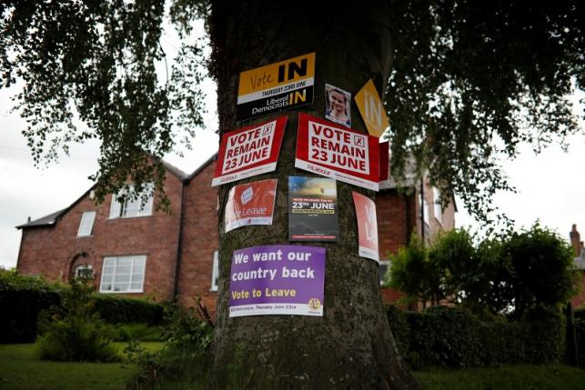 EU referendum posters are seen attached to a tree in Lymm