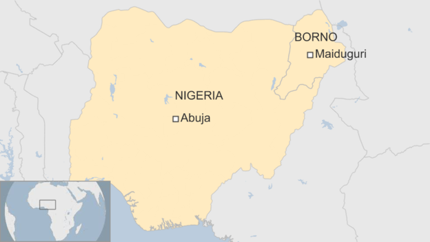 В Нигерии семилетние девочки взорвали себя на рынке