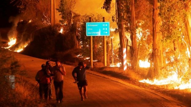Лесные пожары заставили Чили просить помощи у других стран