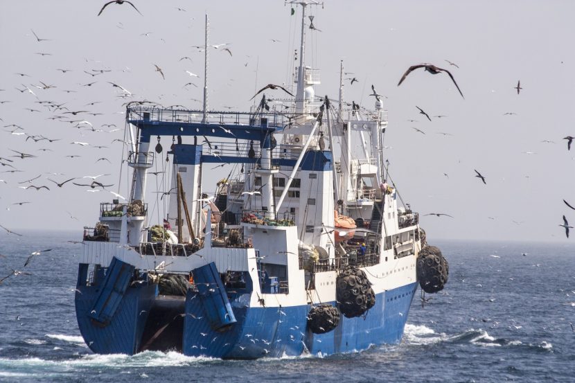 В льдах Северного Ледовитого океана теперь запрещено ловить рыбу