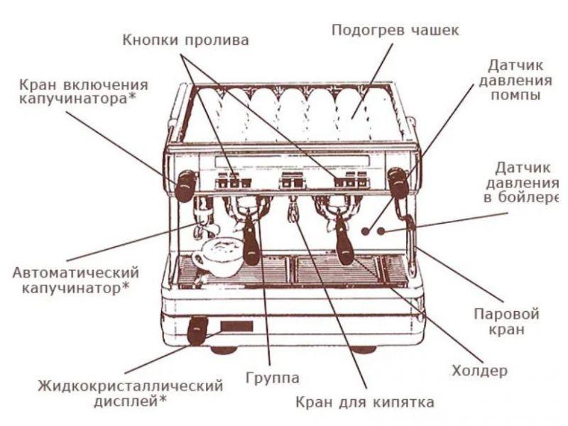 Как организовать поездку для компании друзей